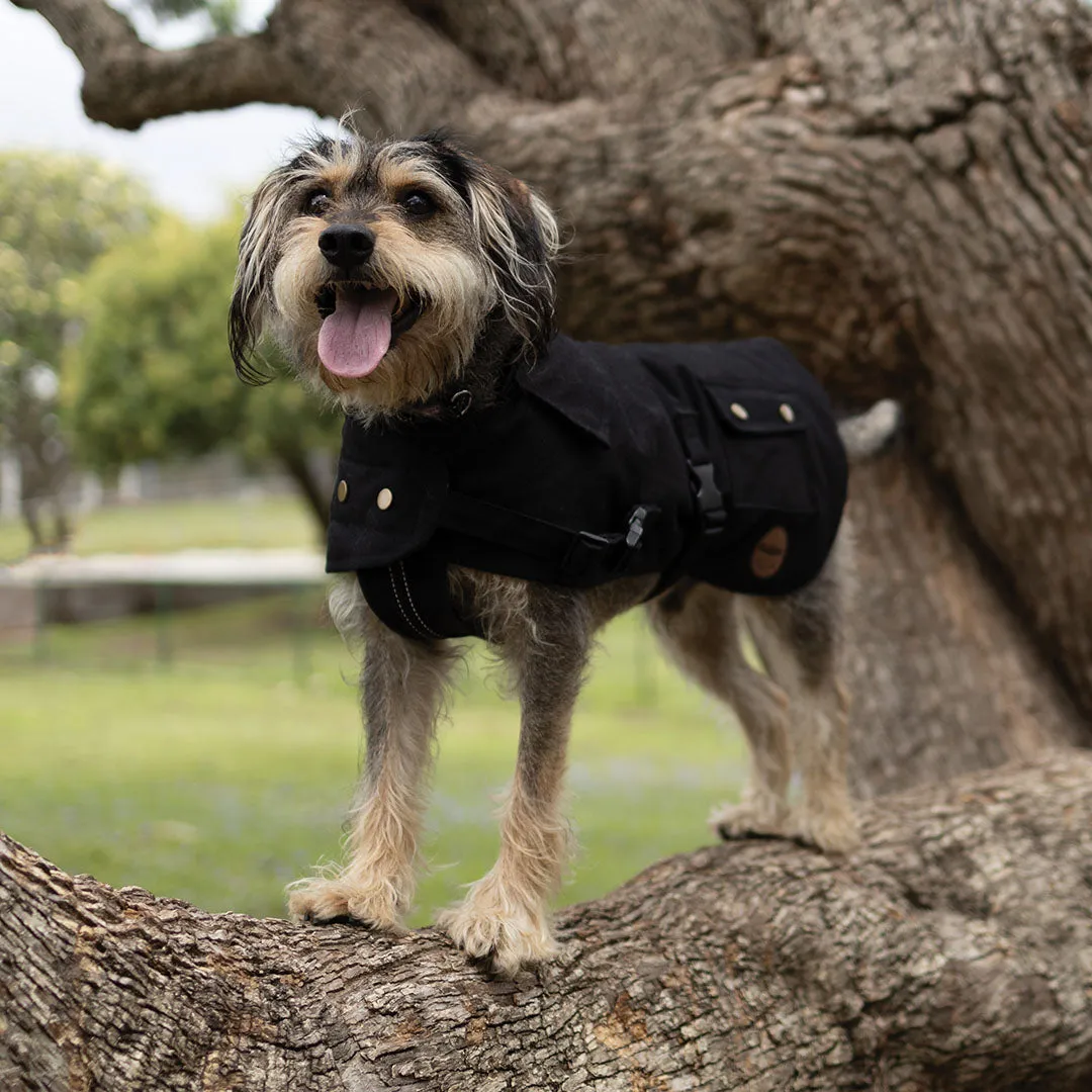 Aussie Oilskin Waterproof Dog Coat - Black