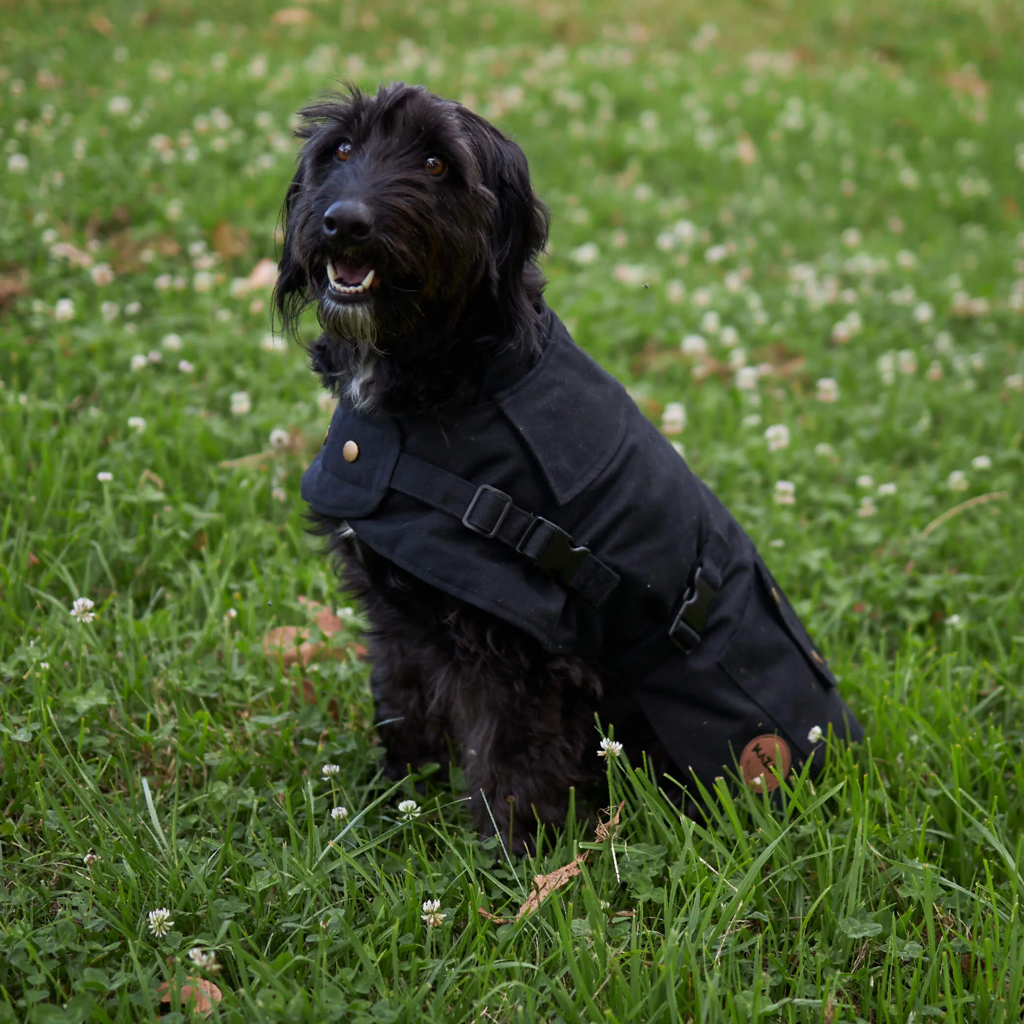 Aussie Oilskin Waterproof Dog Coat - Black