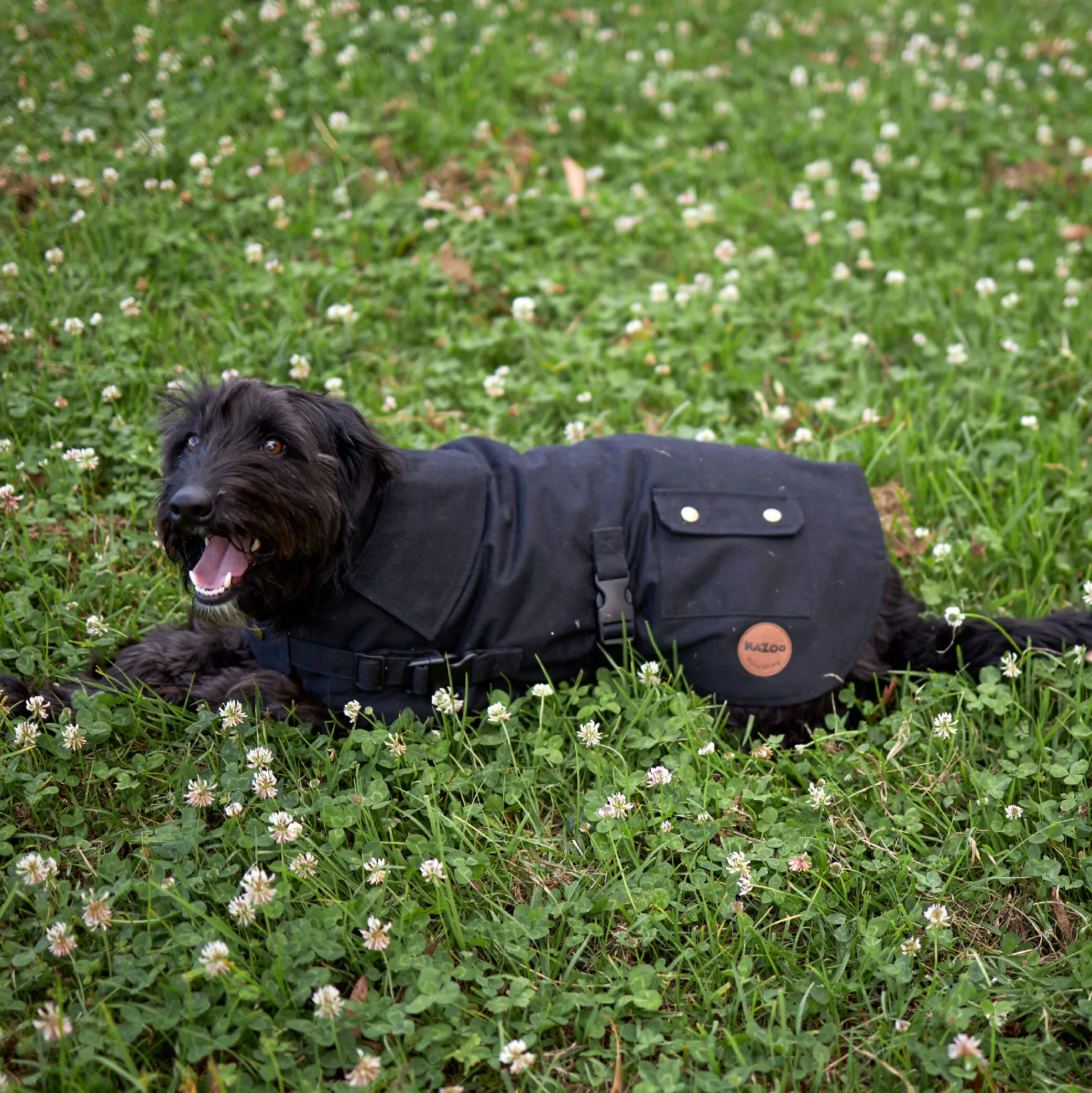 Aussie Oilskin Waterproof Dog Coat - Black