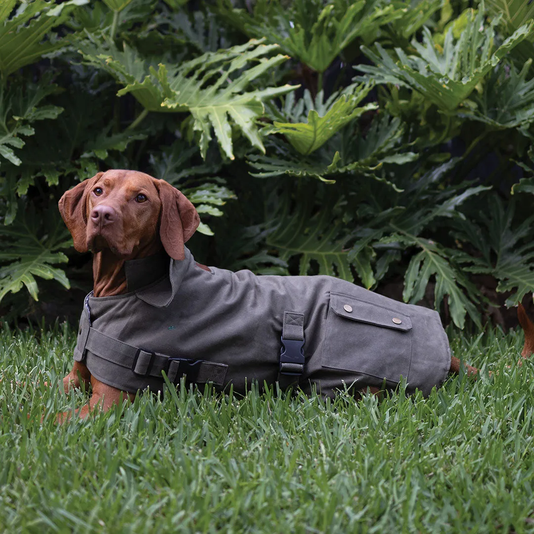 Aussie Oilskin Waterproof Dog Coat - Olive