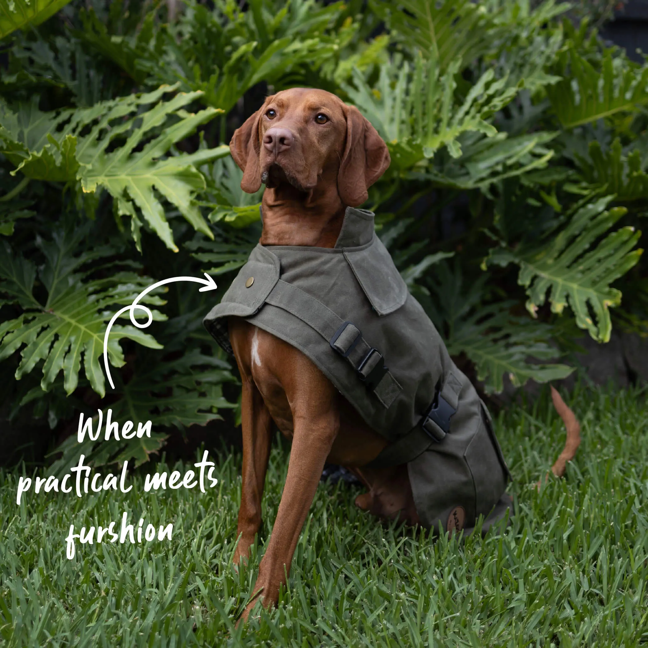 Aussie Oilskin Waterproof Dog Coat - Olive