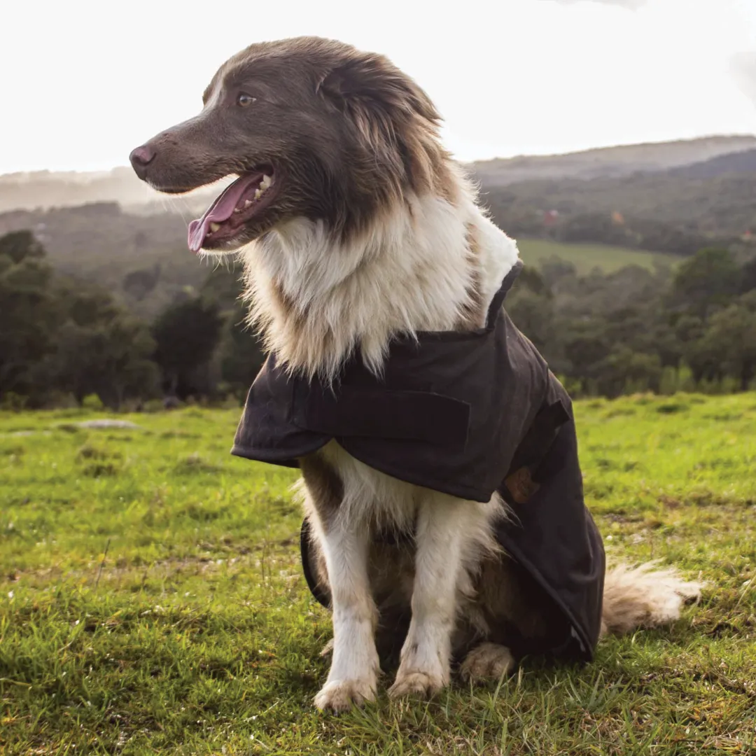 Burke & Wills Oilskin Dog Coat with Sherpa Lining