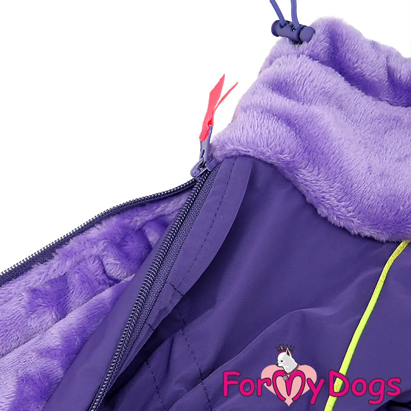 Dachshund Purely Purple Winter Suit For Girls SPECIAL ORDER