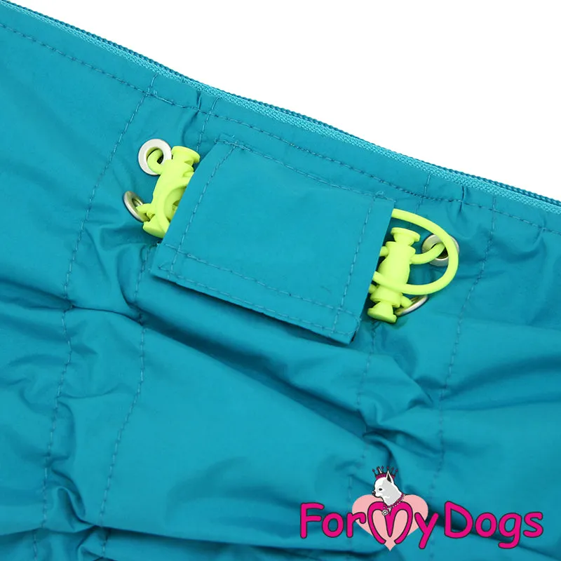 Dachshund Terrific Turquoise Winter Suit For Girls SPECIAL ORDER