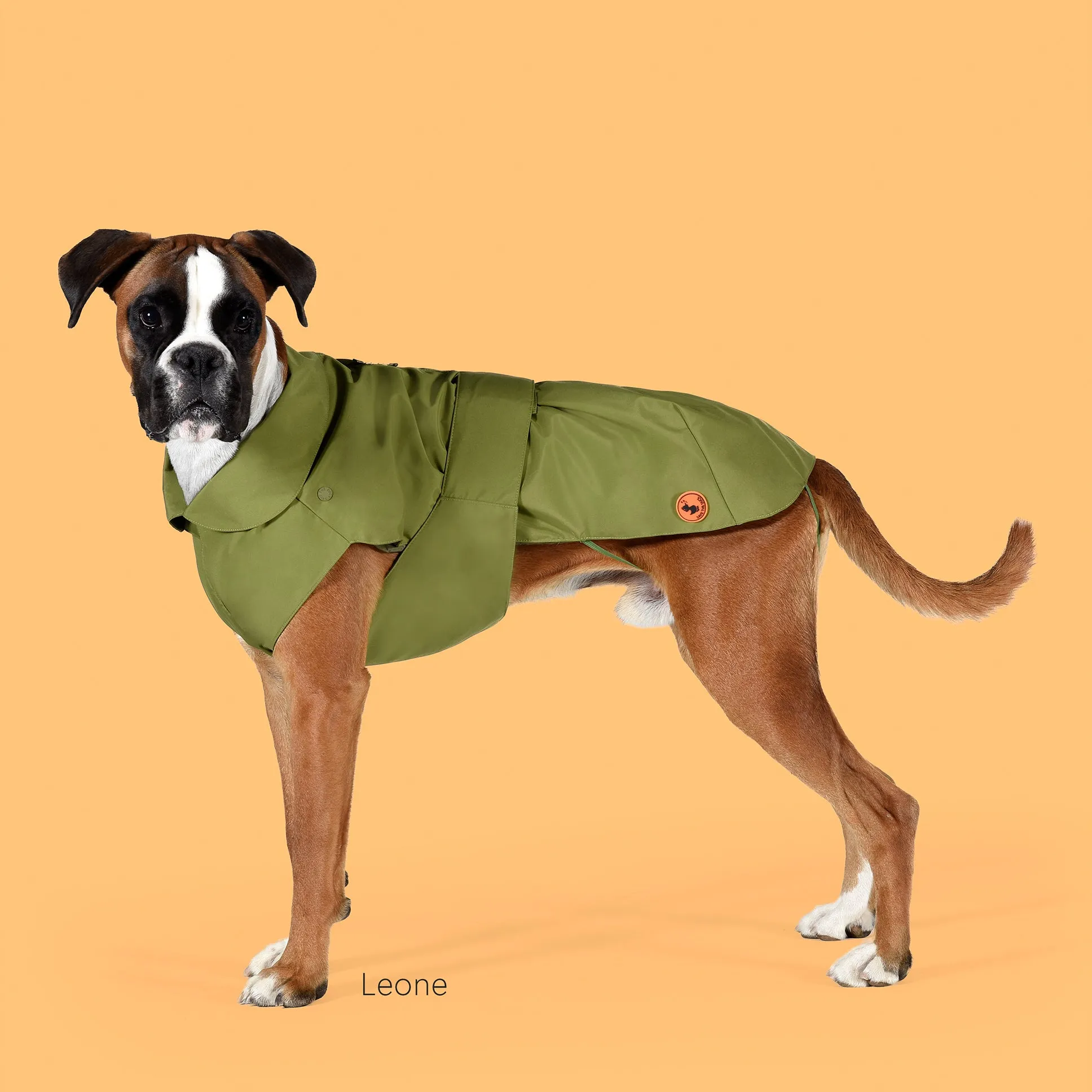 Dog Rex Coat in Cedar Green