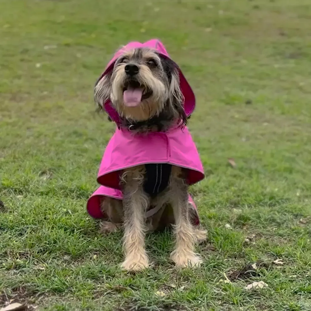 Rainy Days Dog Raincoat - Pink