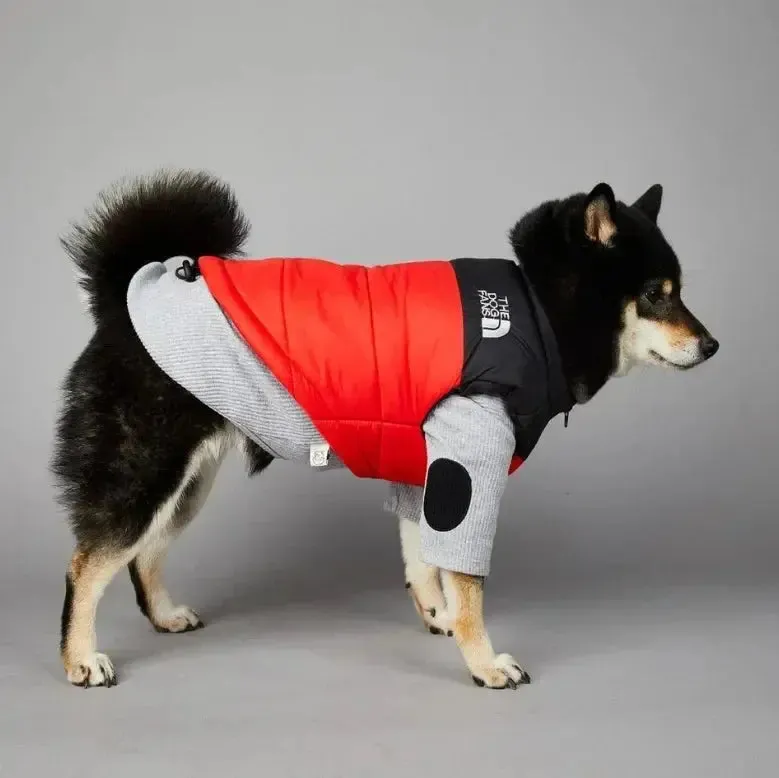 Windproof Rainproof Dog Coat